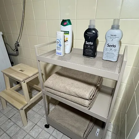 2 Bedroom With A Balcony In The Center Of * Helsinky